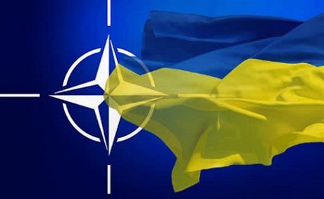 Общество: Украина защищает восточный фланг НАТО, — Пристайко