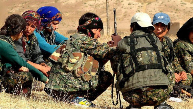 Общество: Турция надеется купировать проблему курдских боевиков в Сирии на корню – Долгов
