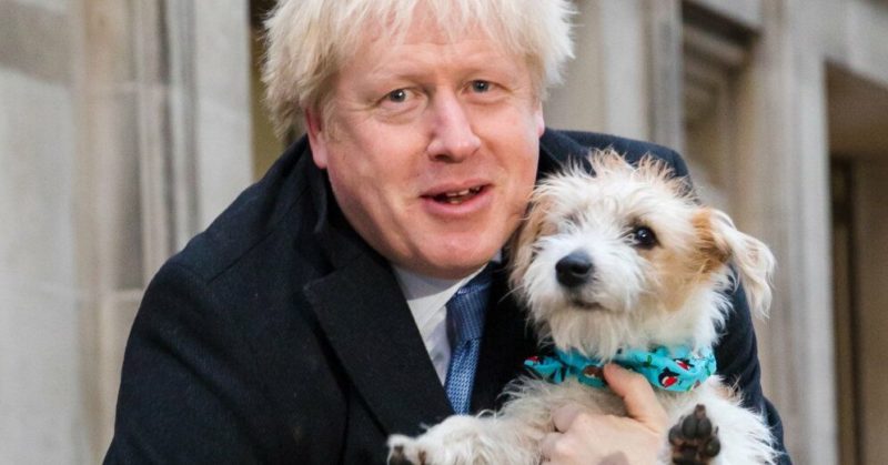 Общество: Премьер Великобритании и мэр Лондона взяли на избирательные участки своих собак
