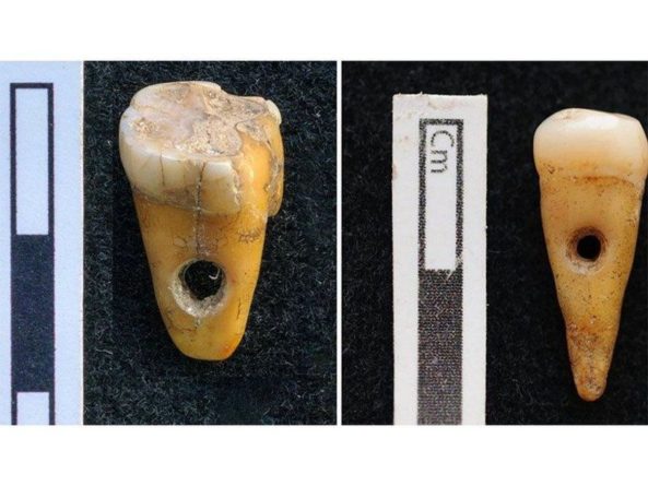 Общество: Жители древнего поселения Чатал-Хююк делали бусы из человеческих зубов