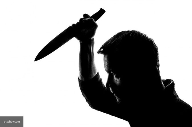 В Великобритании в результате нападения с ножом погибло два человека 22122019 Общество: В Великобритании в результате нападения с ножом погибло два человека