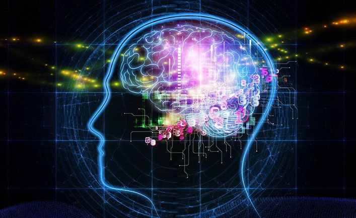 Общество: LiveScience (США): что мы узнали о мозге в 2019 году