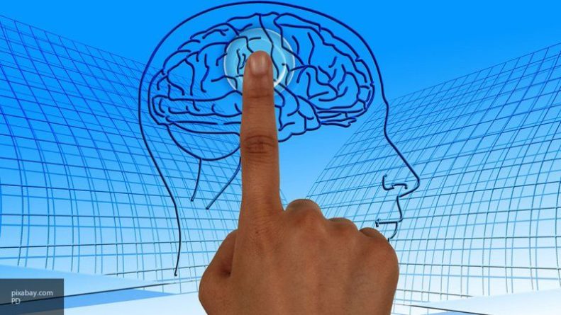 Изменение связей в мозге поможет заранее узнать, как подействует антидепрессант 30122019 Общество: Изменение связей в мозге поможет заранее узнать, как подействует антидепрессант