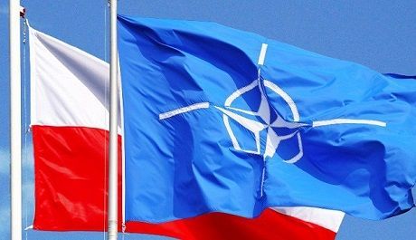 Общество: Польша возглавила командование силами высокой готовности НАТО