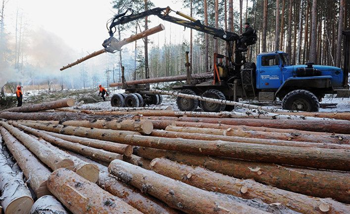 Россия наслаждается новой «деревянной лихорадкой», а Китай подпитывает бум пиломатериалов (The Telegraph, Великобритания)