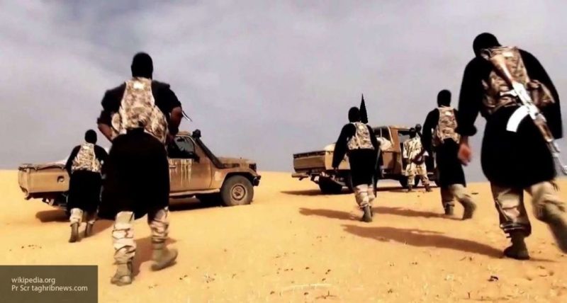 Общество: Террористы ПНС Ливии получили от Турции свыше 1000 сирийский боевиков