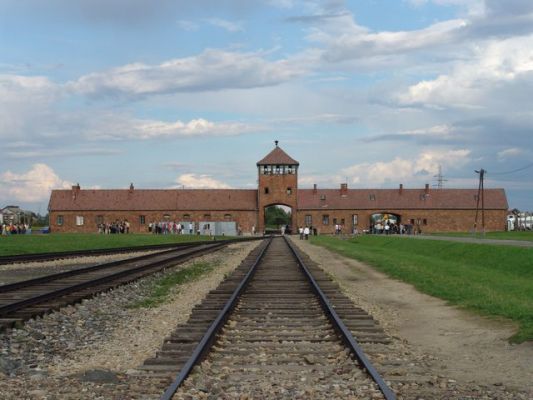 Общество: Россия вошла в список приглашённых стран на 75-летие освобождения Освенцима