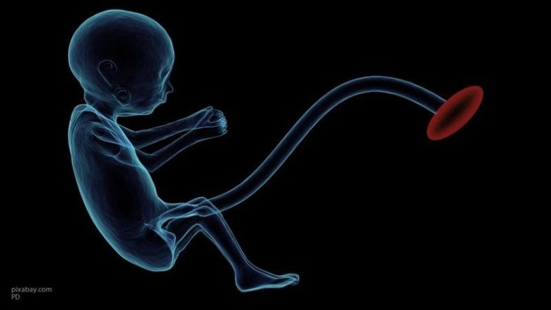 Общество: Британские ученые не смогли определиться с возрастом начала болевых ощущений у эмбриона
