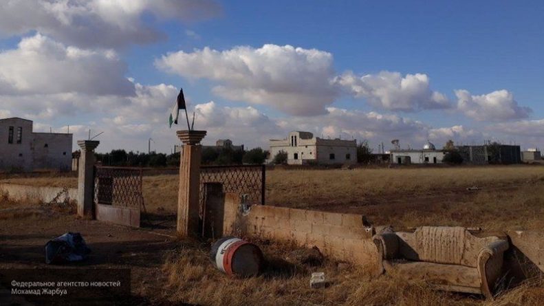 Общество: Военные Сирии обнаружили скопления террористов у населенных пунктов Ад-Дана и Турманин