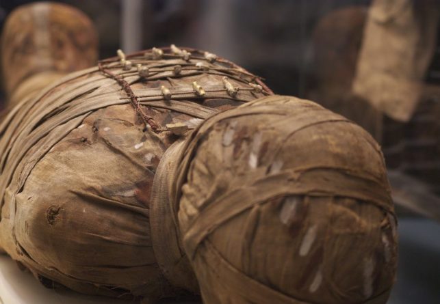 Общество: Ученые воссоздали голос трехтысячелетней мумии - Cursorinfo: главные новости Израиля