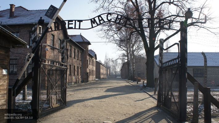 Общество: Сатановский устроил польской власти исторический ликбез по Освенциму