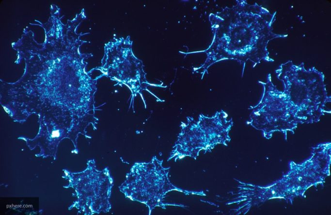 Общество: Ученые нашли способ борьбы с ростом злокачественных опухолей