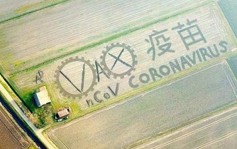 Общество: Фото дня: итальянский художник с помощью трактора «нарисовал» экологичную картину на огромном поле