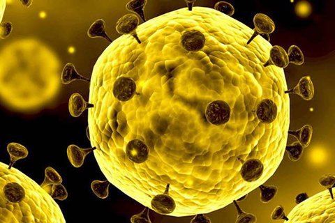 Общество: Вспышка коронавируса из Уханя скоро может быть объявлена пандемией - Cursorinfo: главные новости Израиля