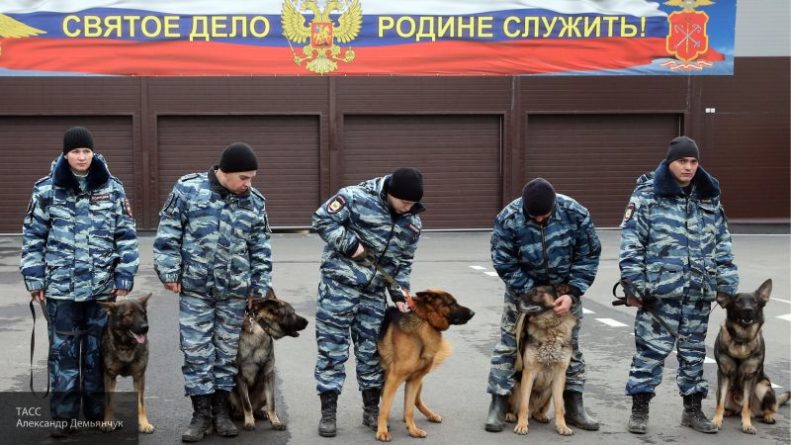 Общество: Ветеран УГРО рассказал, как собаки помогали ему в розыске преступников