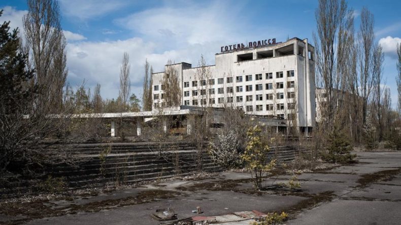 Общество: В Чернобыле ученые наткнулись на грибок, который питается радиацией - Cursorinfo: главные новости Израиля