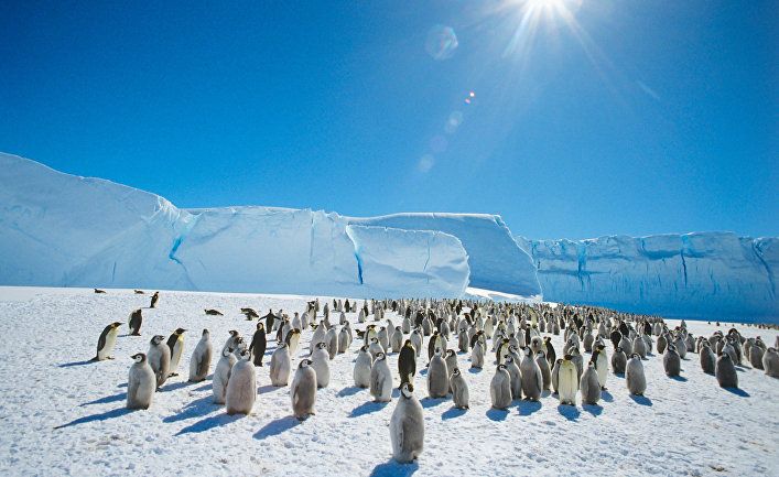 Общество: The Washington Post (США): температура в Антарктиде поднялась до 20 градусов, побив рекорд, зафиксированный несколькими днями ранее