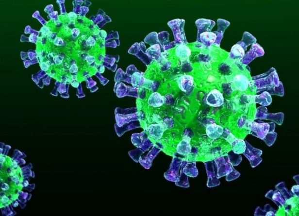 Общество: Коронавирус COVID-19: число заразившихся достигло почти 77 тысяч человек