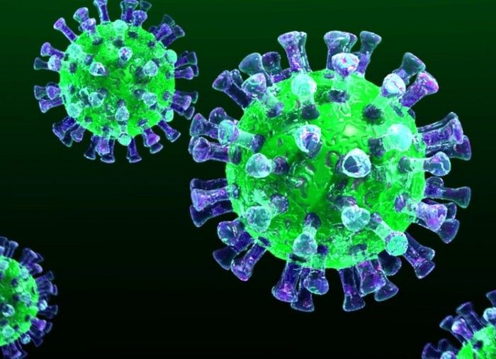 Коронавирус COVID-19: число заразившихся достигло почти 77 тысяч человек