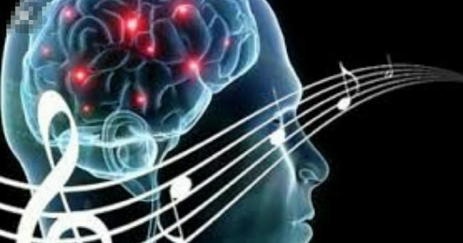 Общество: Почему человек воспринимает музыку и речь разными полушариями мозга?