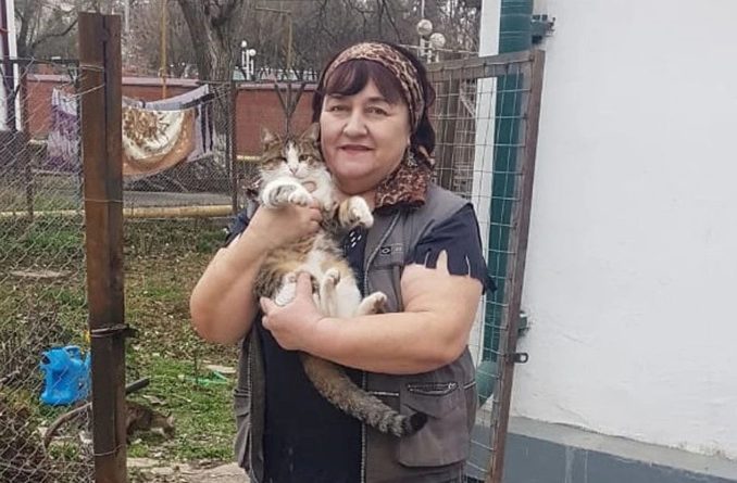 Общество: “Когда стреляли, я гладила их”: пенсионерка рассказала, как сделала приют для котят в чеченскую войну