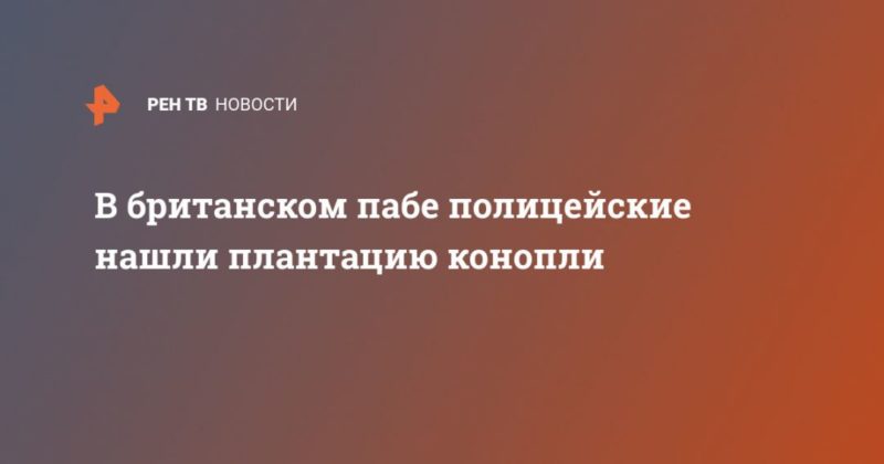 Общество: В британском пабе полицейские нашли плантацию конопли