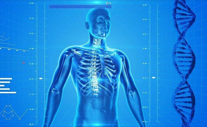 Общество: The Scientist (США): новые открытия в анатомии человека