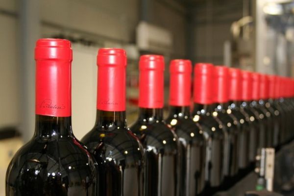 Общество: Экспорт вина из Грузии в Россию снизился