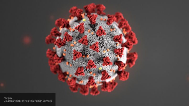 Общество: Замминистра здравоохранения Великобритании Надин Дорриес заразилась коронавирусом