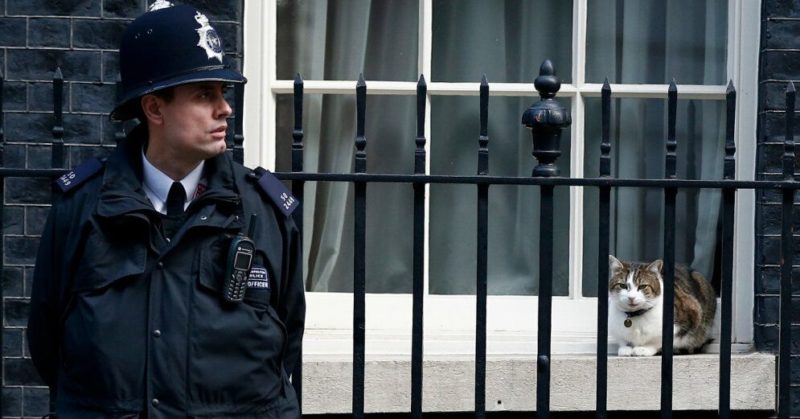 Общество: Коронавирус: правительство Британии планирует закрыть в карантин всех стариков на месяцы