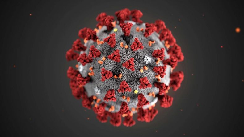 Общество: Как повысить иммунитет против коронавируса – советы ученых из Великобритании