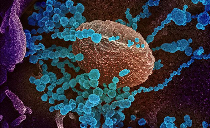 Общество: The Times (Великобритания): даже излечившимся от коронавируса грозит поражение легких на 15 лет
