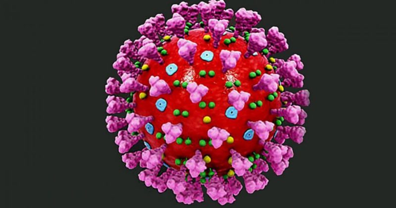 Общество: Ученые узнали срок жизни коронавируса на разных поверхностях