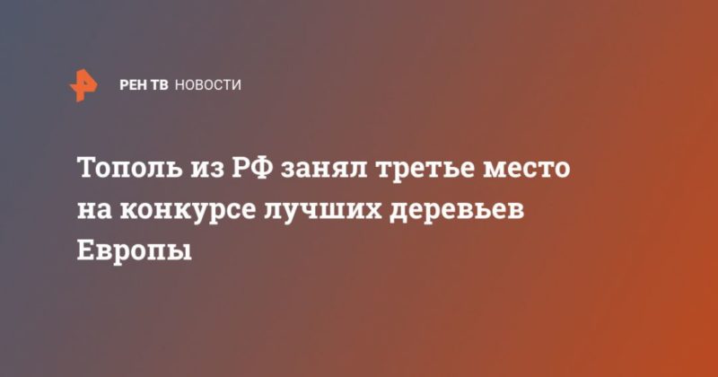 Общество: Тополь из РФ занял третье место на конкурсе лучших деревьев Европы
