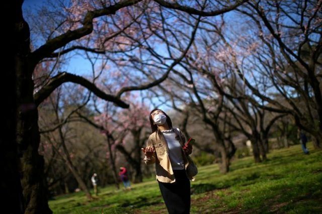 Общество: Коронавирус коронавирусом, а весна по расписанию: люди по всему миру наслаждаются цветением вишен (ФОТО)