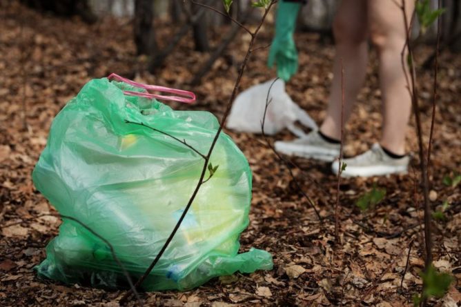 Общество: Ученые решили проблему с утилизацией пластика - Cursorinfo: главные новости Израиля