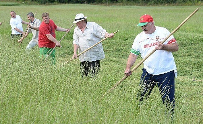 The Times (Великобритания): по словам Лукашенко, трактор и водка излечат Белоруссию от коронавируса