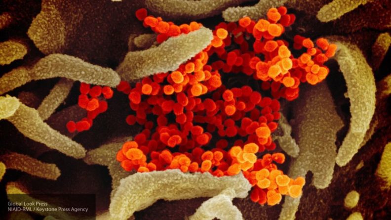 Общество: Ученый объяснил, почему трудно остановить распространение коронавируса в мире
