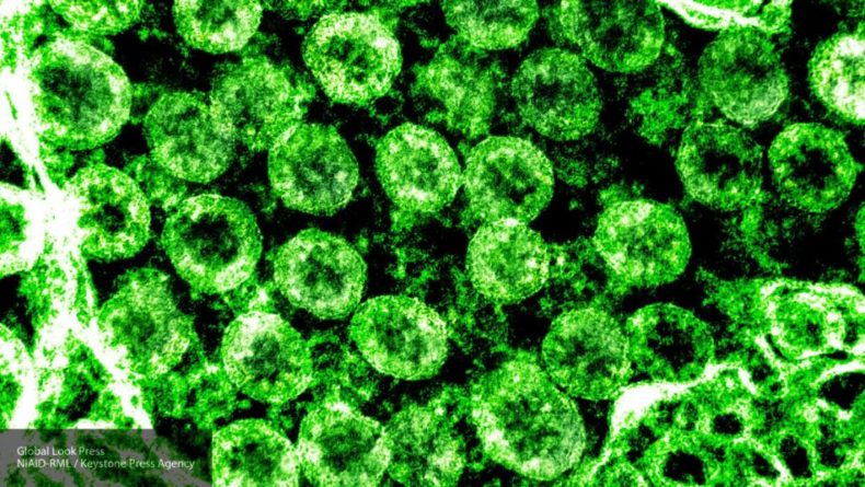 Общество: Врачи раскрыли способность коронавируса жить на волосах человека