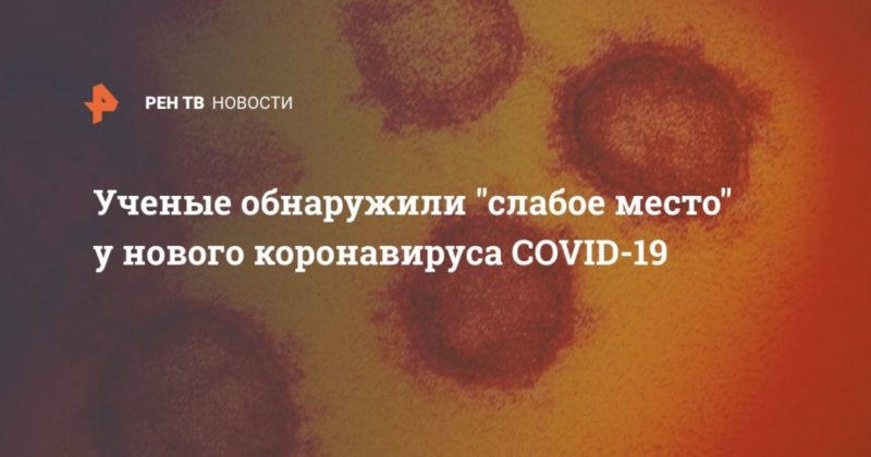 Ученые обнаружили "слабое место" у нового коронавируса COVID-19 14042020 Общество: Ученые обнаружили "слабое место" у нового коронавируса COVID-19