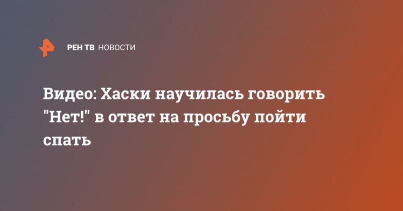 Общество: Видео: Хаски научилась говорить "Нет!" в ответ на просьбу пойти спать