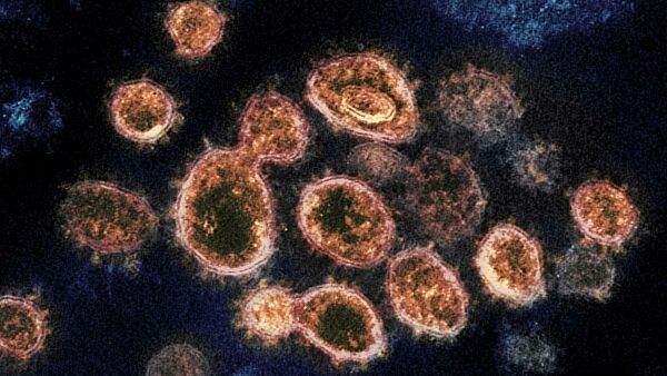 Общество: Статистика жертв коронавируса не учитывает десятки тысяч людей — The New York Times