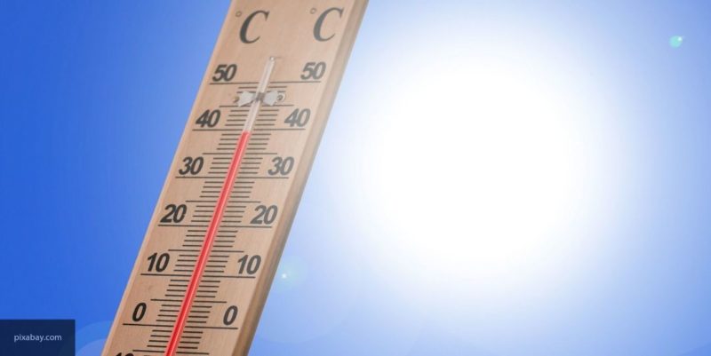 Общество: Ученые полагают, что 2020 год в Европе может стать самым жарким за всю историю наблюдений