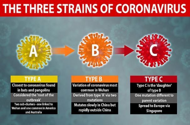 Общество: Обнаружены три разновидности коронавируса, в Америке и Европе они разные