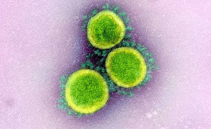 Общество: Хуаньцю шибао (Китай): в разных регионах распространены разные типы коронавируса? Появится ли в конечном итоге «супертип»? Какое влияние окажет мутация COVID-19?