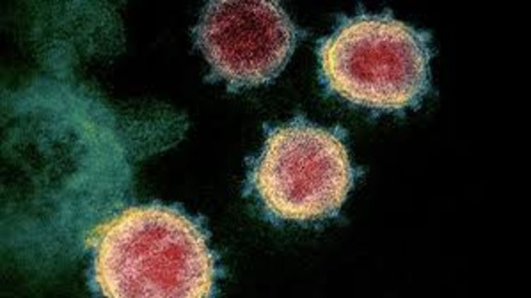 Общество: В США количество зараженных коронавирусом превысило миллион