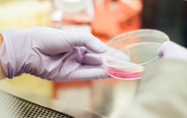 Общество: ВОЗ и Оксфорд проводят крупнейшие испытания лекарств от коронавируса