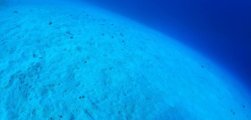 Общество: Микропластик на дне океана опаснее, чем на его поверхности