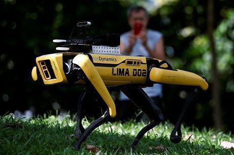 Общество: В Сингапуре робот-пес патрулирует парки для контроля за соблюдением карантина (ФОТО)