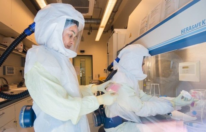 Общество: Учёные создали поражающие коронавирус антитела